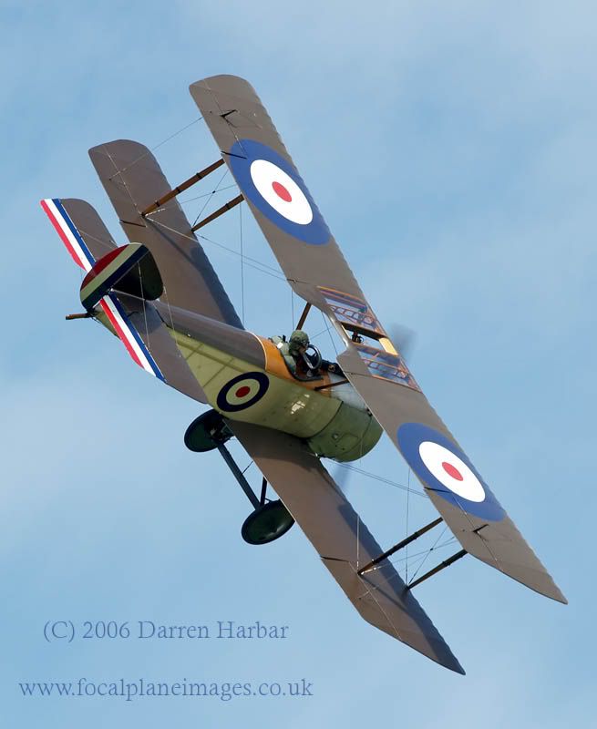 http://img.photobucket.com/albums/v698/darrenharbar/Grace%20spitfire%20day/Pup3.jpg
