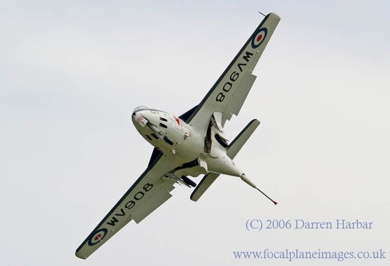http://img.photobucket.com/albums/v698/darrenharbar/Grace%20spitfire%20day/Seahawk3.jpg