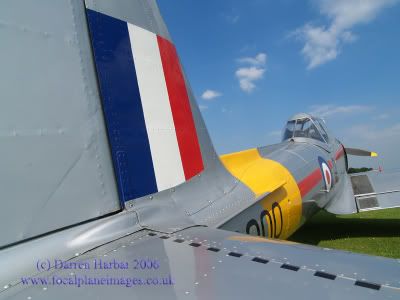 http://img.photobucket.com/albums/v698/darrenharbar/Old%20warden%20June/Chipmunk1.jpg