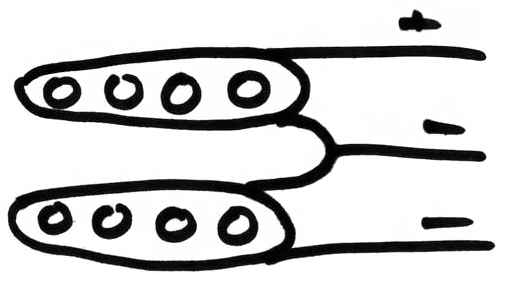 COILTAP.gif
