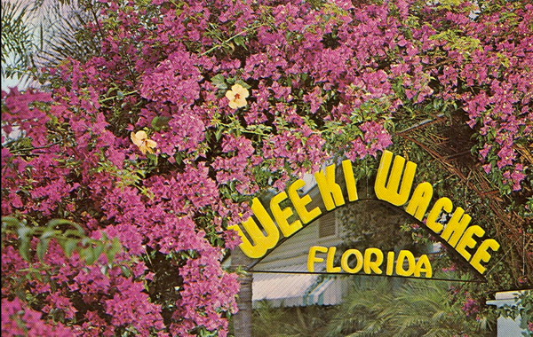  photo WeekiWachee_0.png