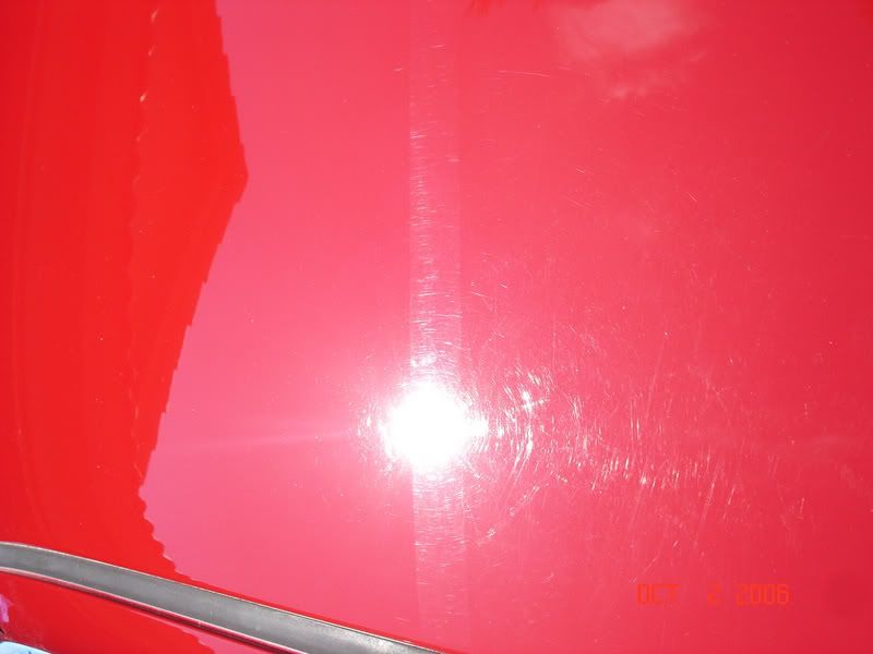 DSC03556.jpg