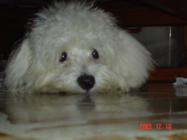 Image hosted by Photobucket.com