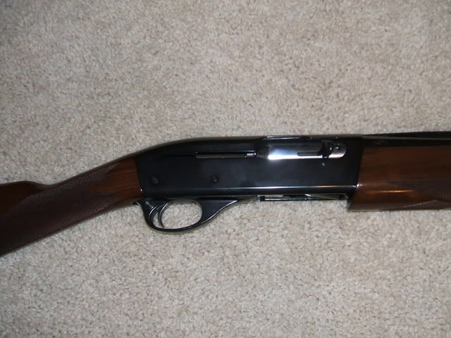 Remington 1100 Lt 20 Upland Special Pics Added 24hourcampfire 8524