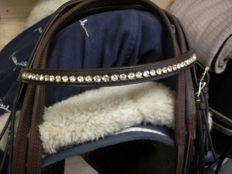 Foto698.jpg