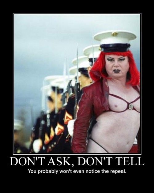 DADT2-500x625.jpg