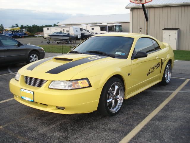 http://img.photobucket.com/albums/v70/McCrazy/3stang.jpg