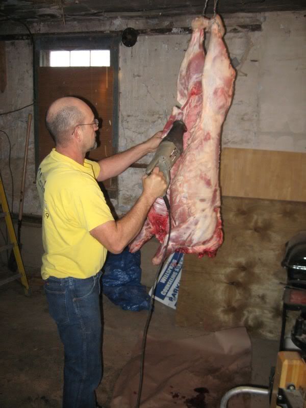 cutting-carcass-in-two1.jpg
