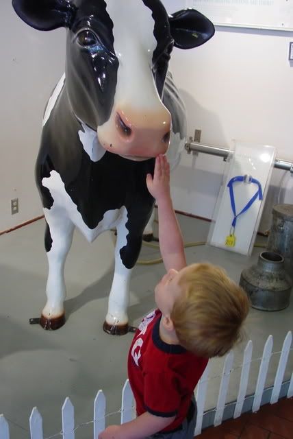 Look, I can touch the cow