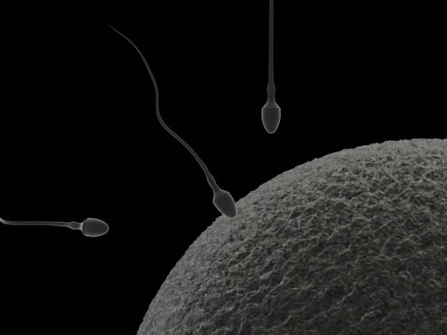 sperm111.jpg
