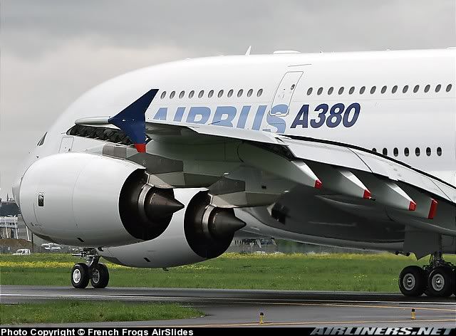 a3801.jpg