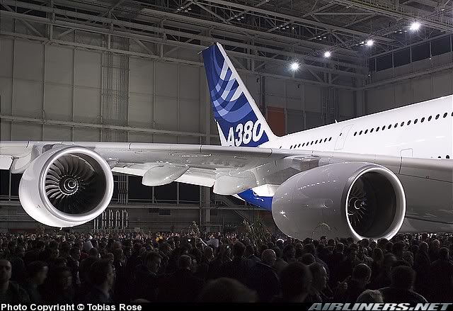 a3804.jpg