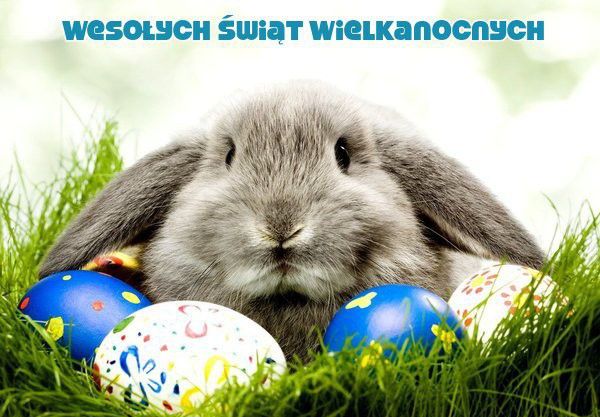 wesolych_swiat_wielkanocnych_99.jpg
