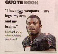 vick.jpg