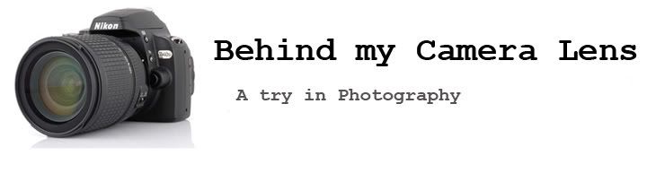 Behind my Camera Lens