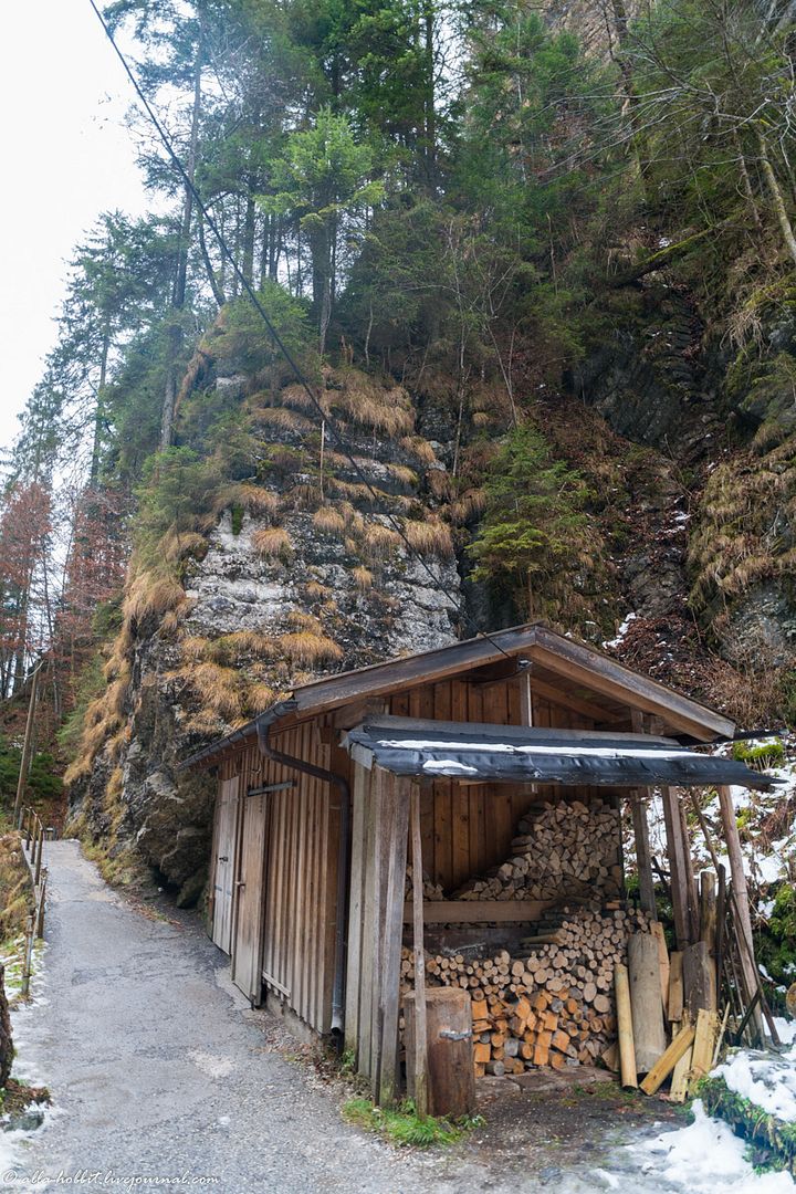 photo DSC08054-2.jpg