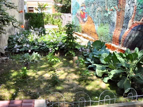 back yard 2006/july