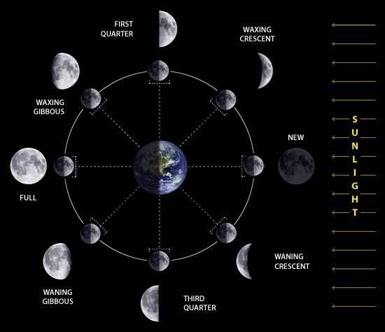 moon phases. moon phases.