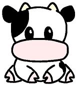 Cute Cow Pictures, Images and Photos