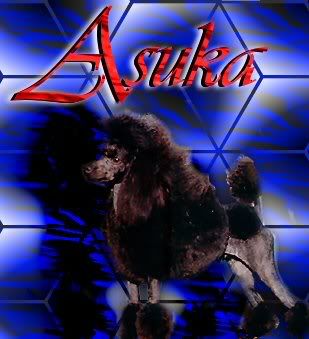 Jag of Asuka