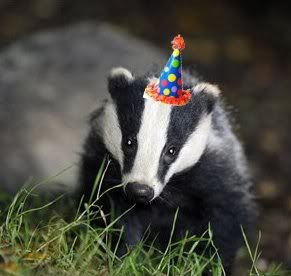 Celebratory badger.