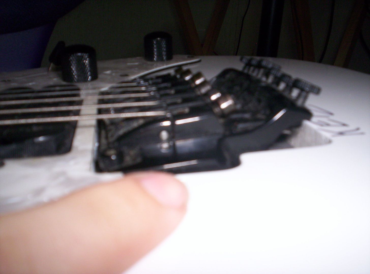 100_0675.jpg