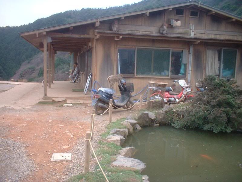 Photo Sharing and Video Hosting at Photobucket