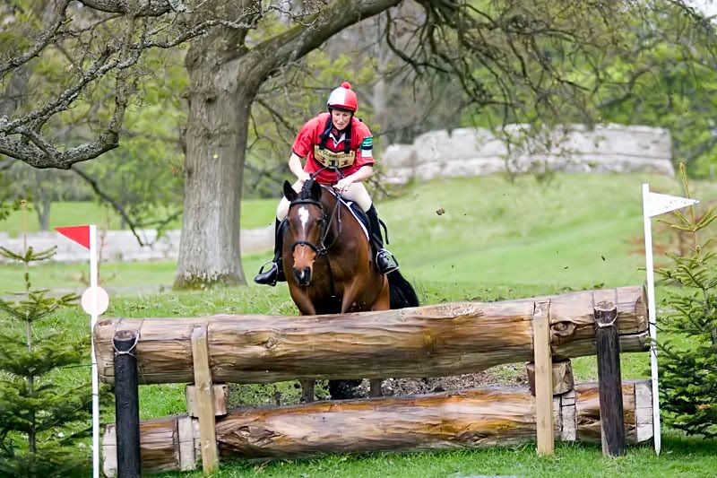 IMAGE: http://img.photobucket.com/albums/v703/weeman750/Horse%20Trials/IMG_8871.jpg