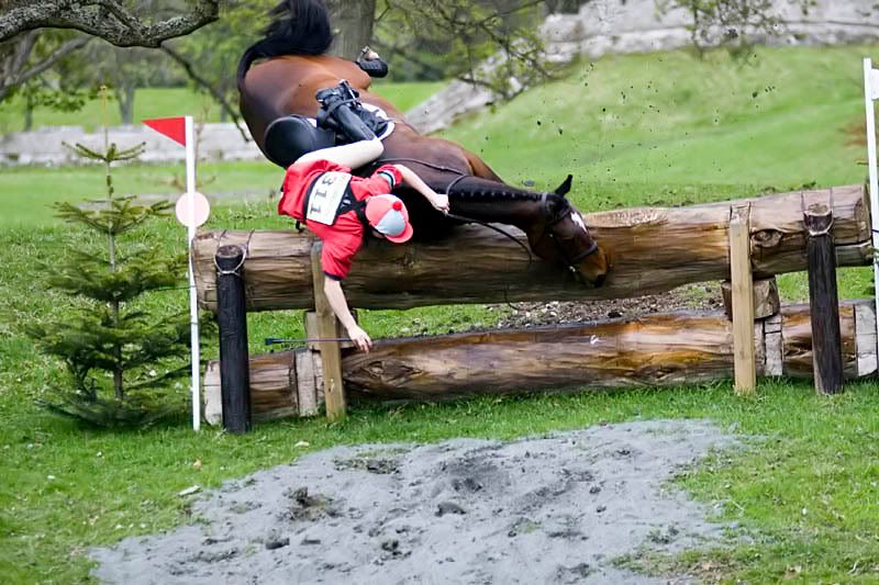 IMAGE: http://img.photobucket.com/albums/v703/weeman750/Horse%20Trials/IMG_8874.jpg