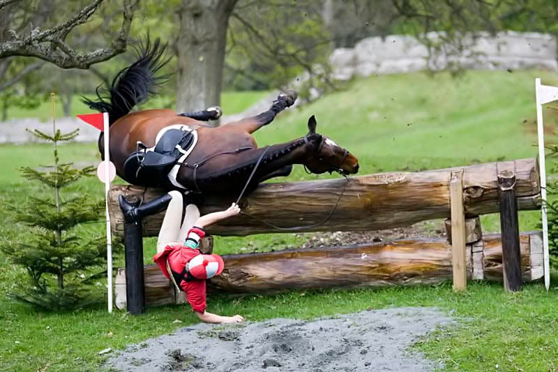 IMAGE: http://img.photobucket.com/albums/v703/weeman750/Horse%20Trials/IMG_8875.jpg