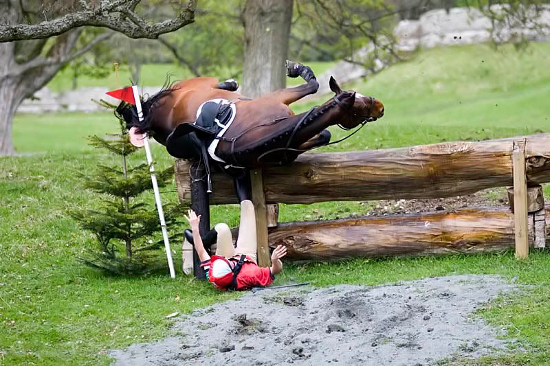 IMAGE: http://img.photobucket.com/albums/v703/weeman750/Horse%20Trials/IMG_8876.jpg