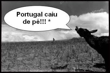 Portugal caiu de pé