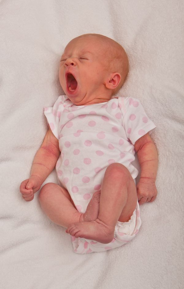 IMAGE: http://img.photobucket.com/albums/v704/cameltrophy24/Ella/ella-1b.jpg