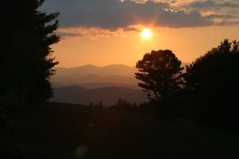 IMAGE: http://img.photobucket.com/albums/v704/cameltrophy24/photoforum/IMG_0007.jpg