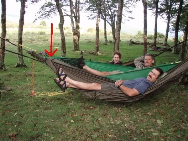 Hammock Pattern