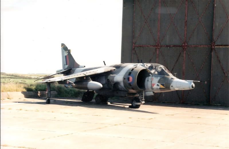 http://img.photobucket.com/albums/v704/mach1mike/harrier.jpg