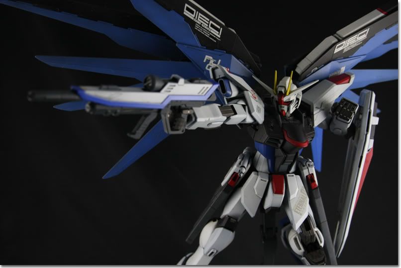 MG Freedom Gundam - 模型討...