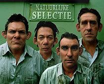 Photo Sharing and Video Hosting at Photobucket