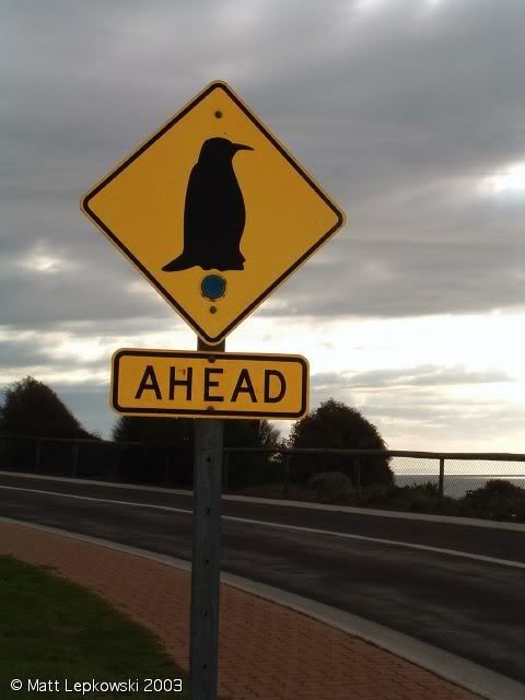 penguin-sign.jpg