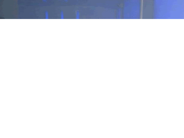 nude.gif