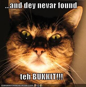 funny-pictures-cat-scary-story-buck.jpg