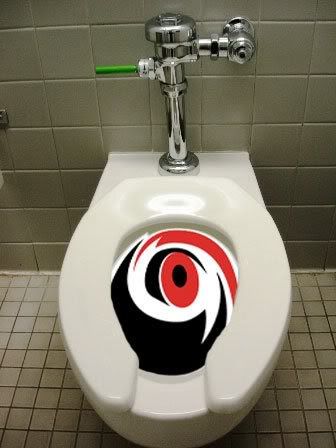 Image result for carolina hurricanes toilet