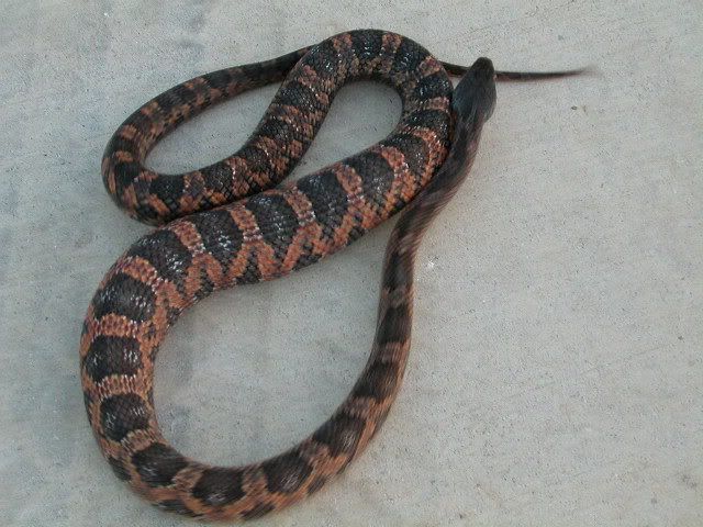 DSCN2313.jpg