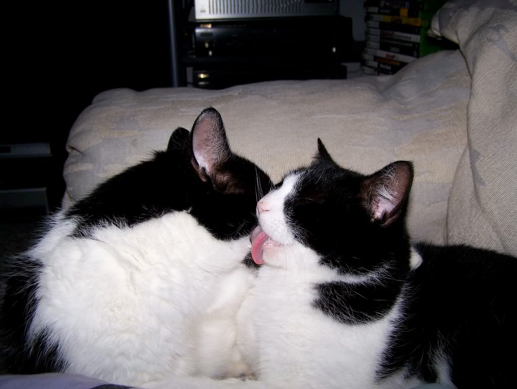 100_0553.jpg