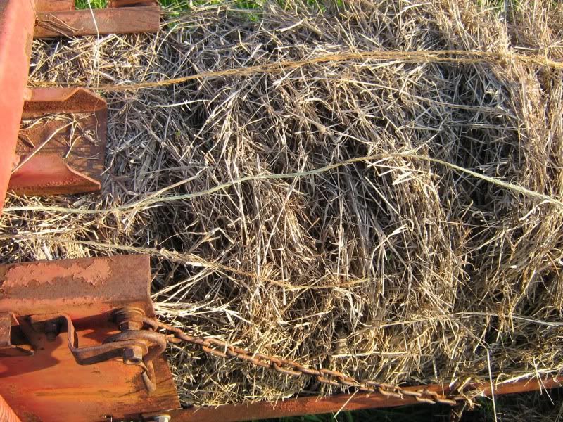 IH 47 baler knotter problems Yesterday
