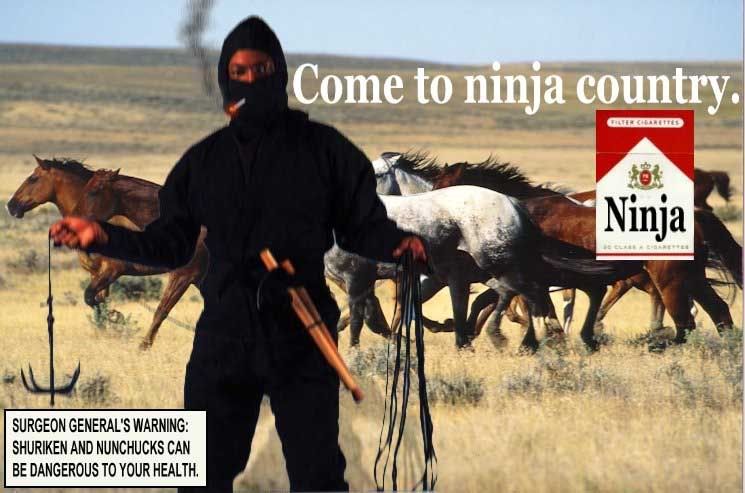 ninjasmoke.jpg