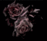 inlovingmemory.gif image by in-loving-memory