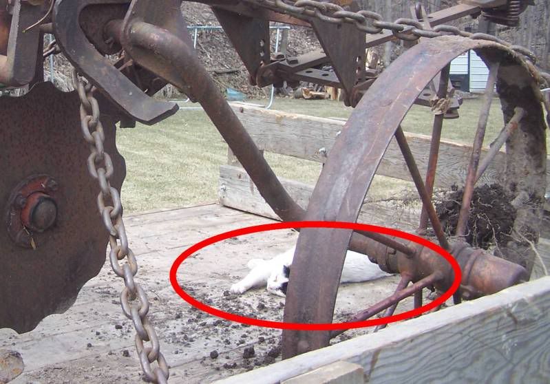 My plow truck - Dodge Ram, Ramcharger, Cummins, Jeep, Durango, Power