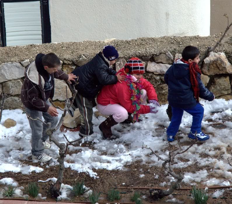 Весна любовь нечаянно нагрянет