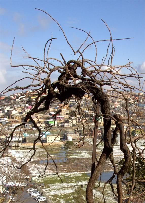 Весна любовь нечаянно нагрянет